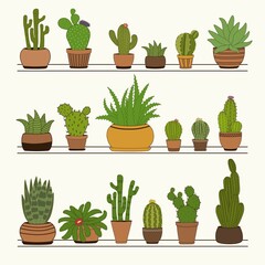 Set of colorful cactus plants in garden pots