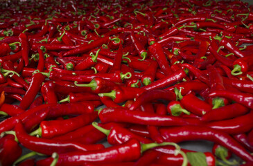 close up Red chili pepper.