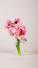 beautiful pink flowers in a bottle on a uniform background. copy space. Vertical mobile format for smartpone stories.