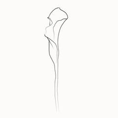 Flower line art. Minimalist contour drawing. One-line artwork.