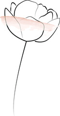 Flower One Line Drawing. Continuous Line of Simple Flower Illustration.