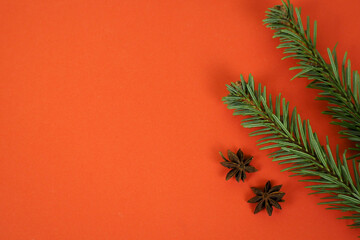 Fototapeta na wymiar christmas tree branches on wooden background