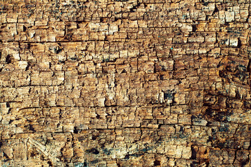Natural wood texture background. Abstract wallpaper.