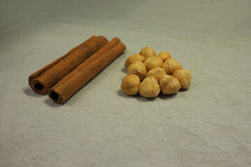 a few brown cinnamon sticks and a few hazelnut seeds on a gray background. side view . Christmas symbols. spices