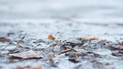 Wet asphalt after rain close up, soft selective focus. Autumn urban landscape. 