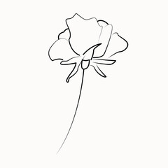The abstract flower is drawn by hand in a continuous line. Minimalist style. Spring floral design element.