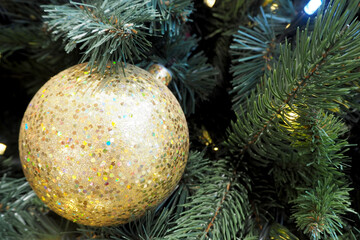 on the branch of the Christmas tree hangs a large golden-colored shiny round Christmas toy . side view. copy space