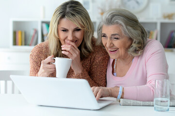 Close up portrait of two senior women using laptop
