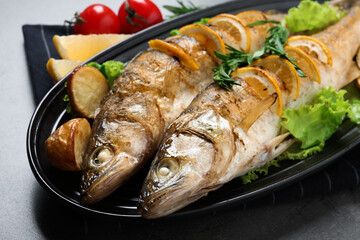 Tasty homemade roasted pike perches with garnish on grey table, closeup. River fish