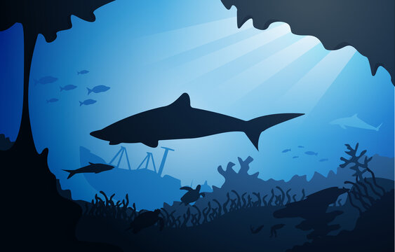 Shark Sunken Ship Wildlife Sea Animals Underwater Aquatic Illustration