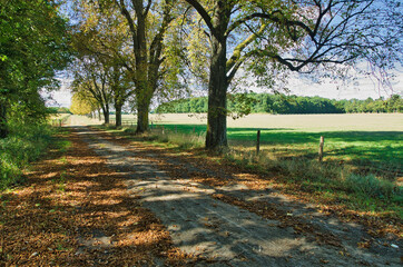 Fototapeta premium Paysages de Touraine, Nouzilly, Gatine Tourangele, France