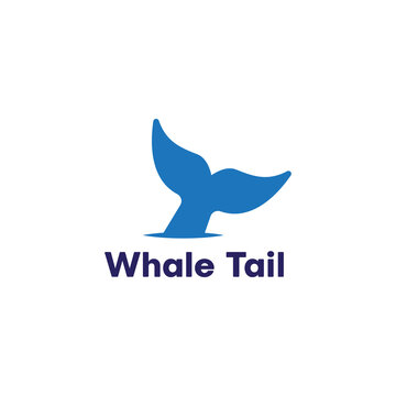 Whale Tail On The Water Logo Template