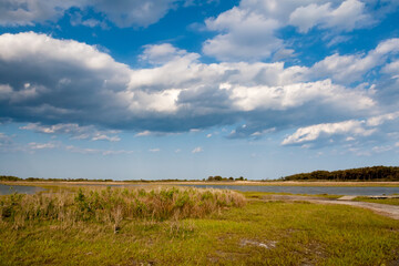 Salt marsh wetlands at Assateague Island National Seashore, MD