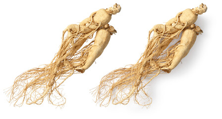 Dried ginseng isolated on white background, top view
