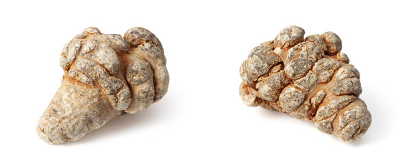 dried panax notoginseng isolated on whtie background