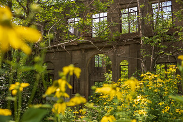 The Skeletal Remains of a Overlook Mountain House near Woodstock, New York