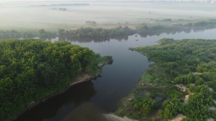 morning in the forest