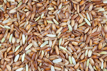 Brown rice berries background.