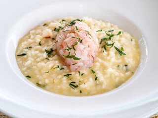 cooked risotto with shrimp tartare in white plate