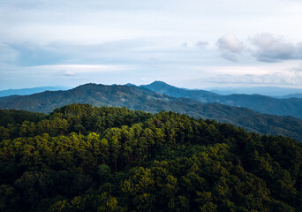 Mountains and summer green forests