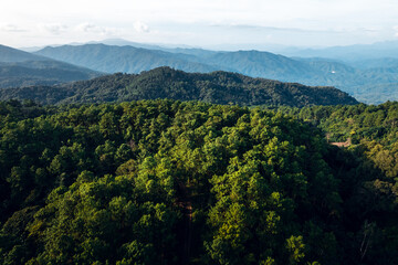 Mountains and summer green forests