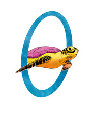 illustration of a turtle - obrazy, fototapety, plakaty