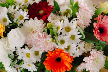 Abstract background of flowers chrysanthemums and gerberas. Close up.