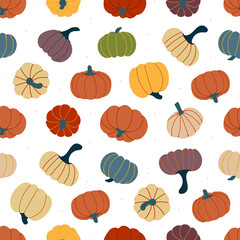 pattern with multicolored autumnal pumpkins. vector illustration 