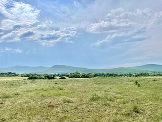 gorgeous summer landscape scene with field, mountain and blue sky