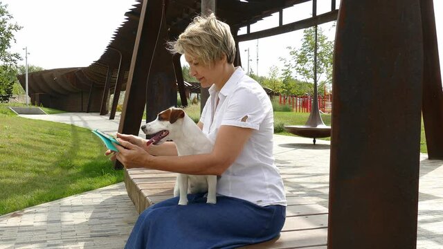 Small dog requires the attention of the owner, who works on a tablet
