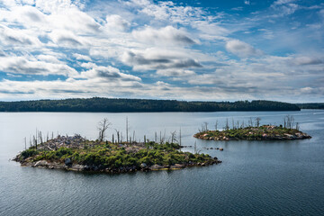 Two small islands with dead trees. Panoramic view of beautiful evergreens small islands and rocky coast of Scandinavia on sunny summer day. Shot from cruise ship. Forest green long coastline.