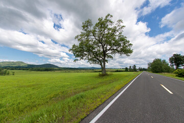 View of a road in perspective in summer in Essex County New York