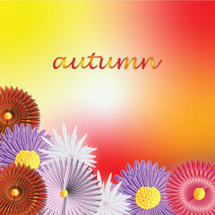 composition of multicolored autumn flowers