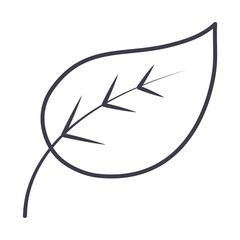 leaf icon image