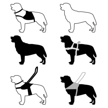 Gide Dog Service Icons Collection Svg Vector Illustration