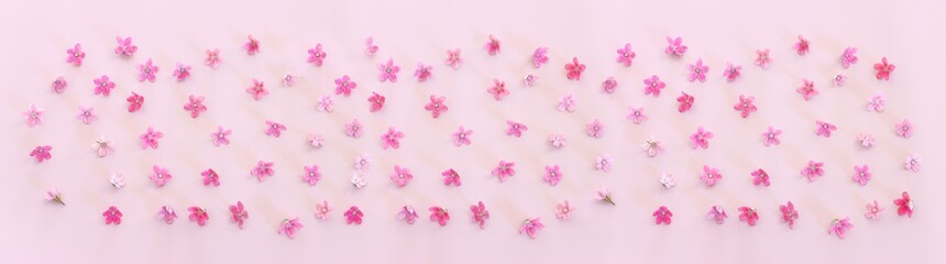 Top view image of pink flowers composition over pastel background .Flat lay. Banner