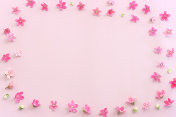Top view image of pink flowers composition over pastel background .Flat lay