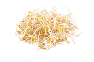 Isolated soybean sprouts. Soybean Sprouts on white background.