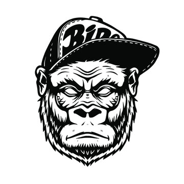 Vector logo illustration, angry, funny gorilla head in a baseball cap, isolated image, on a white background