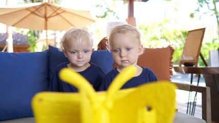 Fototapeta na wymiar White twins watching something on an tabled covered in a butterfly case outdoors
