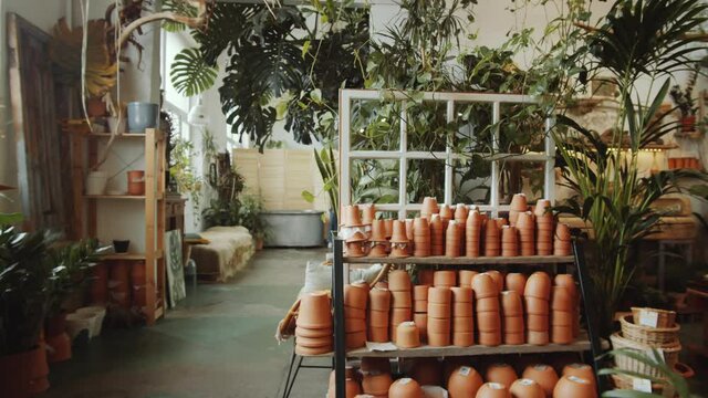 Zoom out shot of clay terracotta pots on shelves in beautiful flower shop filled with lots of green plants