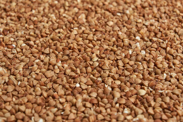 Uncooked buckwheat grain top view