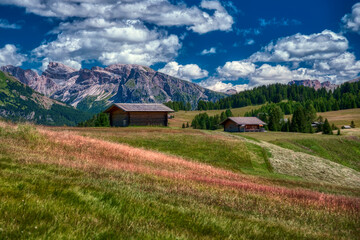 Fototapeta premium Dolomites Val Gardena, mountain valleys