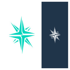 Eye catching unique star logo concept