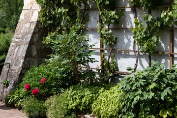 Fototapete Pfingstrosen Eine übbig bepflanzte Rabatte säumt eine Hauswand.  © Roswitha