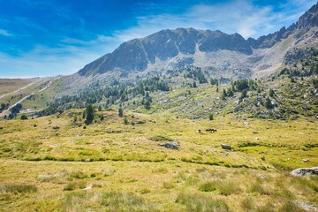 Fototapeta na wymiar Mountain landscapes. Lakes of the principality of Andorra in summer. Ski slopes in summer. Wild animals, cows and horses.