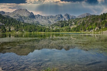 Mountain landscapes. Lakes of the principality of Andorra in summer. Ski slopes in summer. Wild animals, cows and horses.