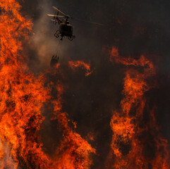 Firefighter helicopter fighting hell in a forest fire. © bruno ismael alves