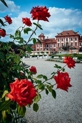 Fototapeta na wymiar red roses on the background of an ancient castle in prague