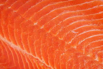 Red fish fillet meat close-up. Trout or salmon, texture and macro photo.